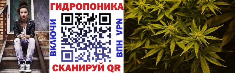 omg зеркало  Бежецк  Каннабис MAZAR 